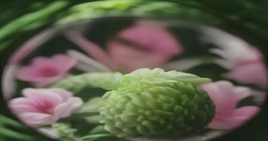 菲菲影院国产热播剧播放界面，1080P超清画质下的电视剧场景，色彩饱和度高，人物细节清晰可辨